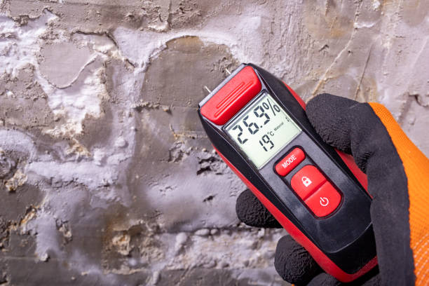 Best Attic Mold Removal  in Long Neck, DE