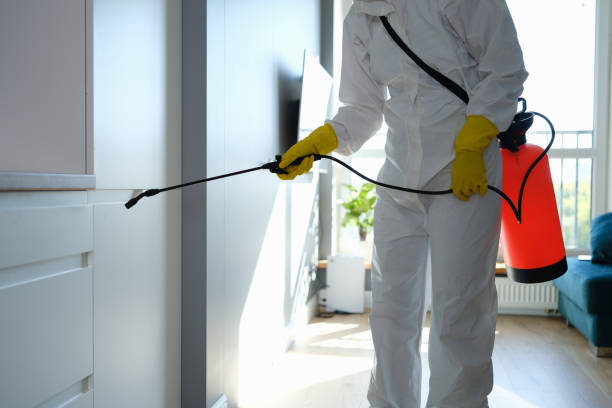 Professional Mold Removal in Long Neck, DE