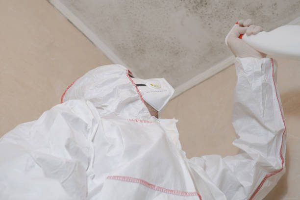 Best Local Mold Removal Service  in Long Neck, DE