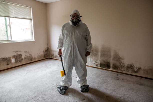 Best Mold Testing  in Long Neck, DE